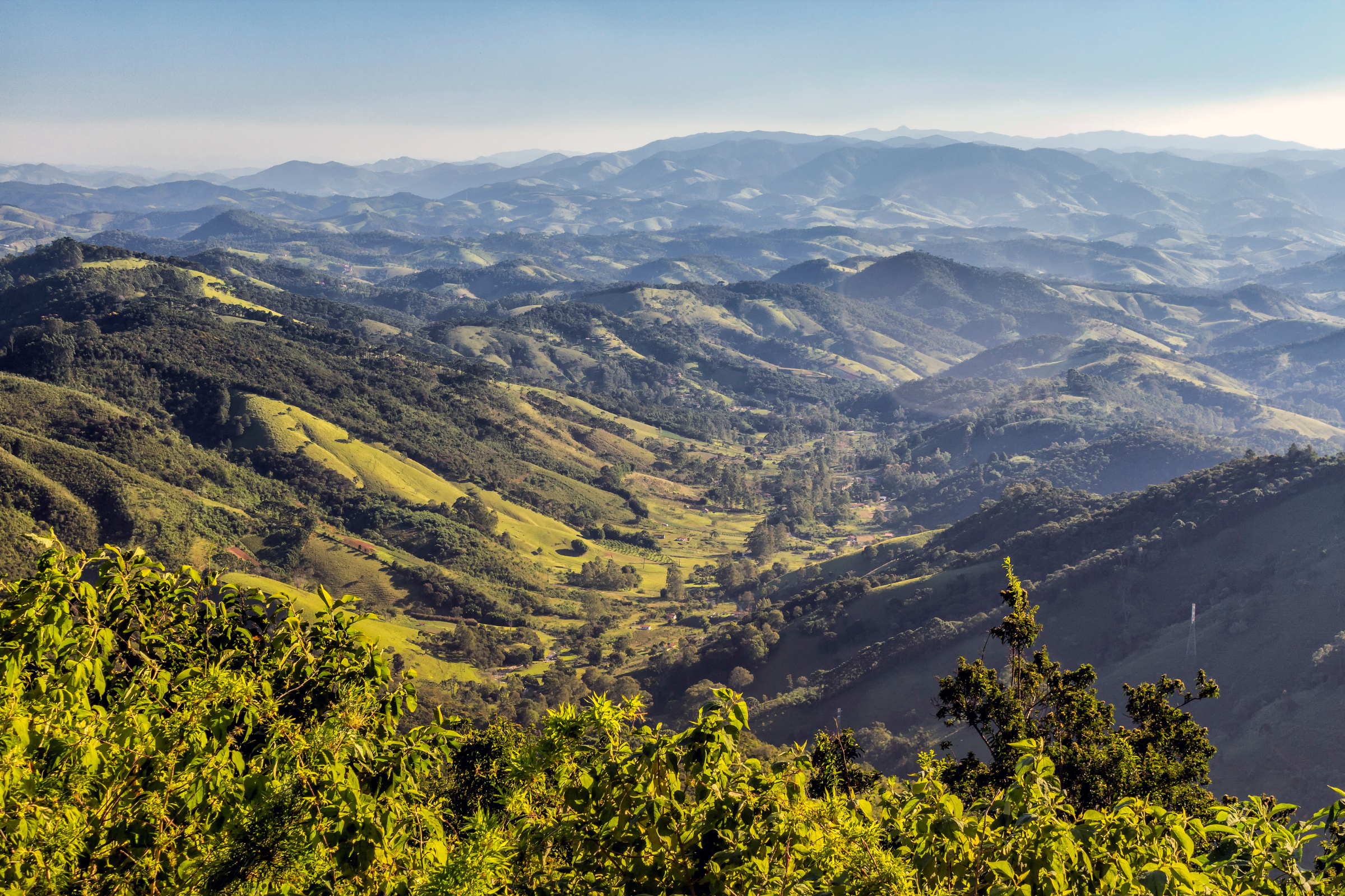 Campos[1].webp
